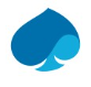 Capgemini